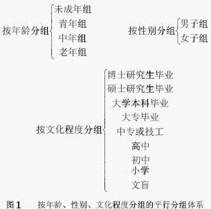 简单分组2013最新版，概念、应用与优势解析