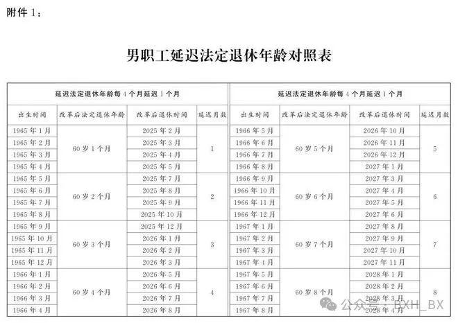 社会变革中的政策调整与未来展望，副部级退休年龄最新规定解析