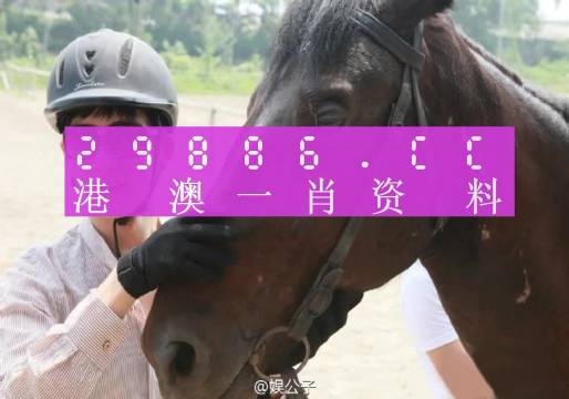 澳门一肖一码一必中一肖，绝对经典解释落实_战略版81.33.76