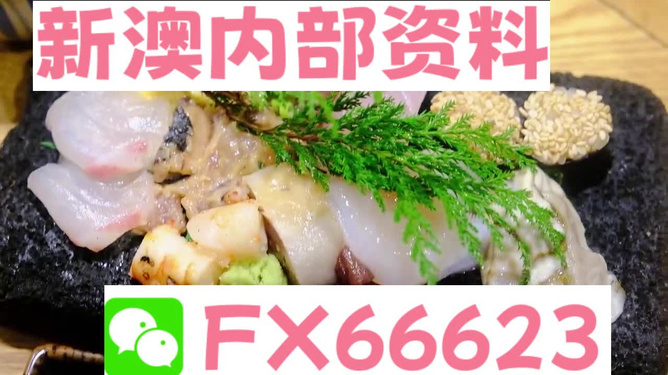 新澳精准资料免费提供，动态词语解释落实_HD77.97.30