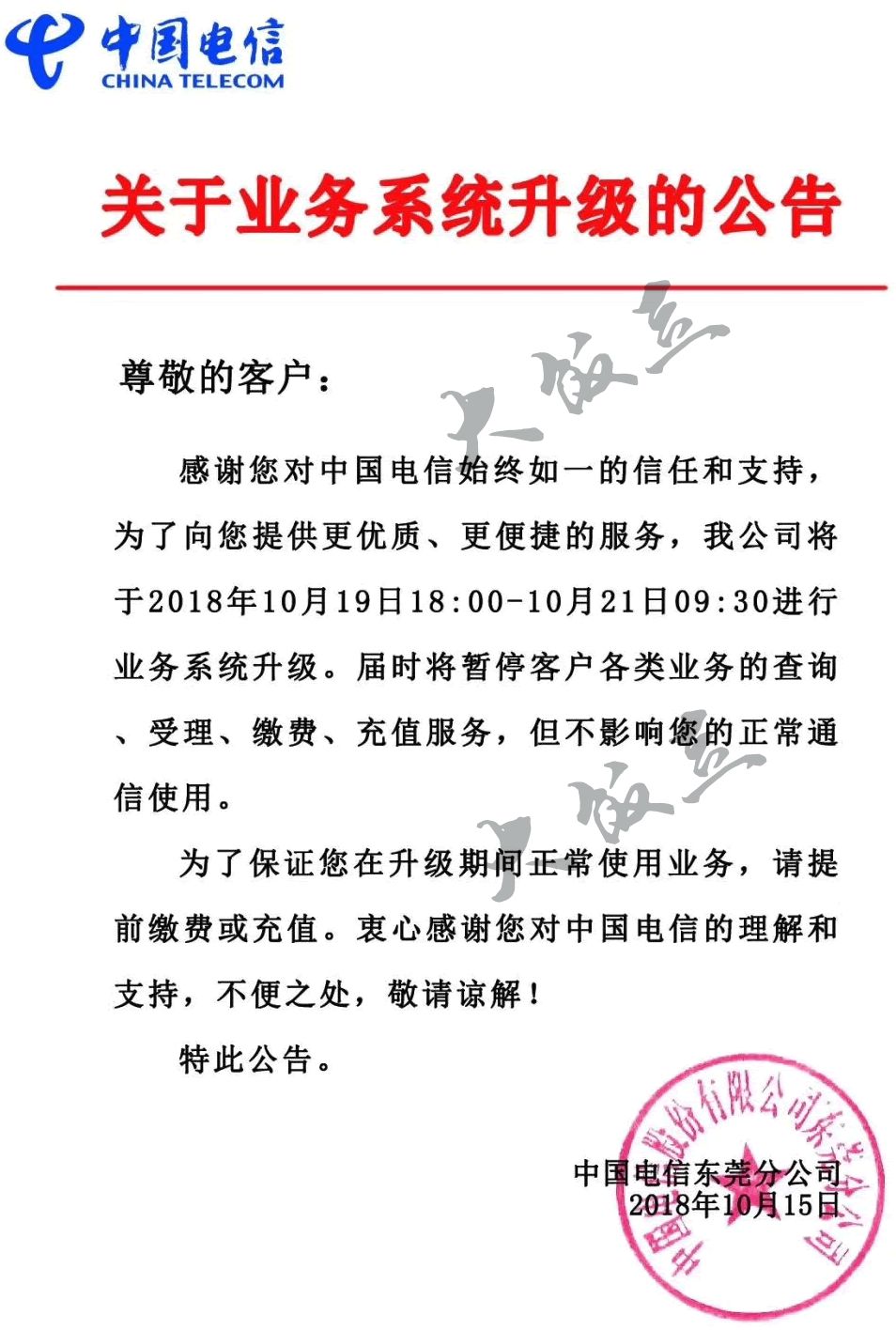 中国电信转正最新消息,中国电信转正最新消息📣📱✨