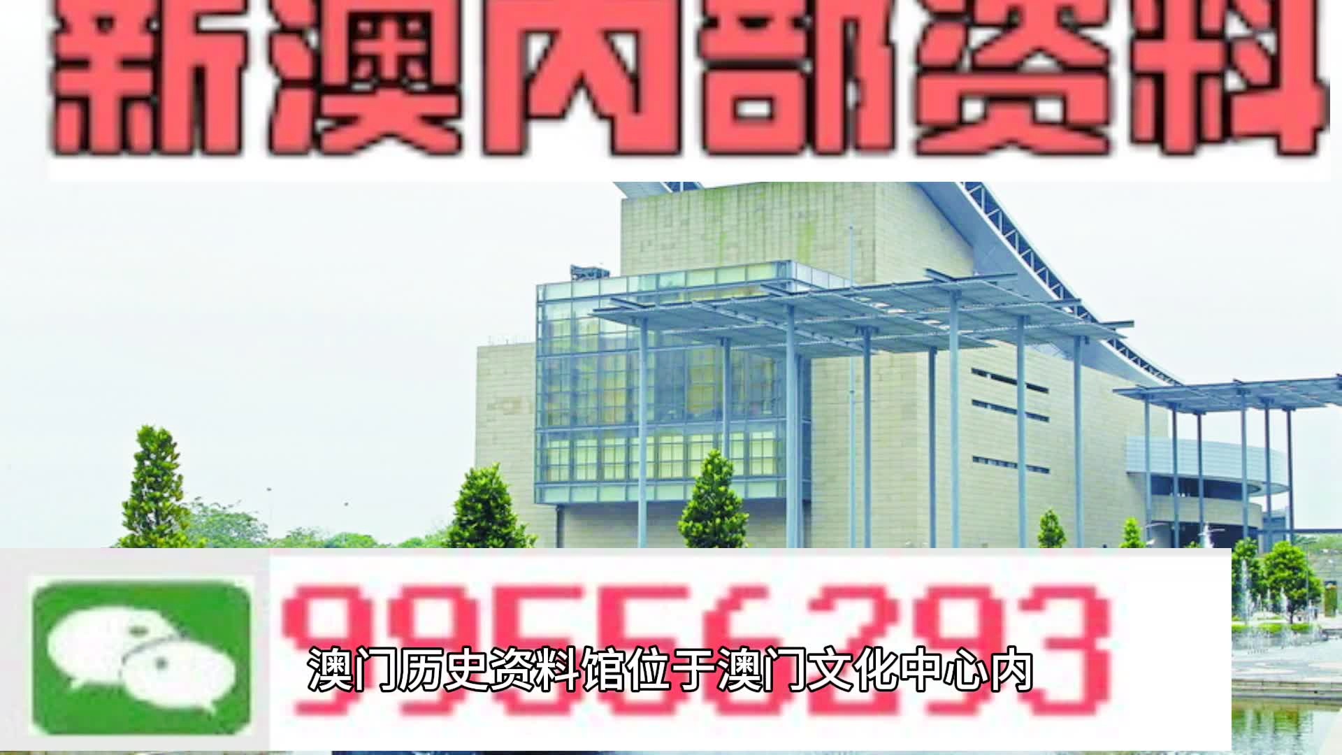 2024年新奥门天天开彩免费资料,造诣解答解释落实_经典款4.264