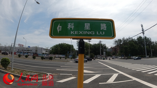 林萃路北延最新消息,林萃路北延最新消息与一段温馨的探秘之旅