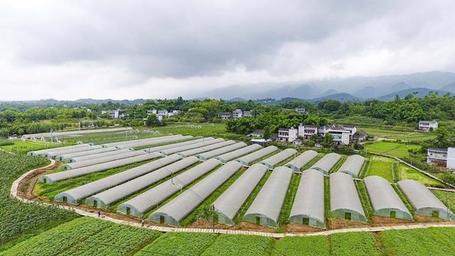 澳门六开彩天天正版免费_璧山青杠最新发展目标,结构化推进评估_V297.20.10