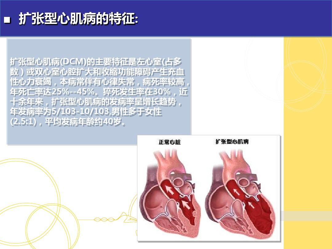 白钢旗杆 第543页