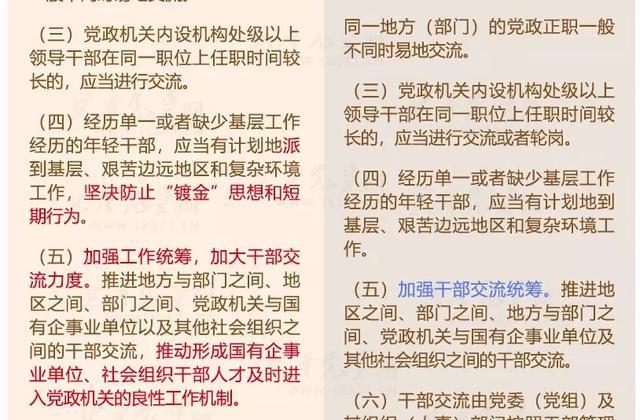 全年资料免费大全资料打开,专业讲解解答解释策略_实践版19.014