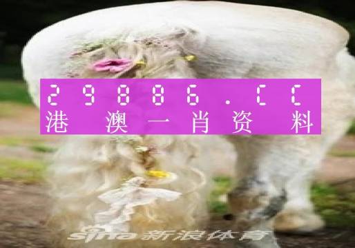 澳门一肖一码一一特一中,最佳精选解释定义_稀缺集13.436