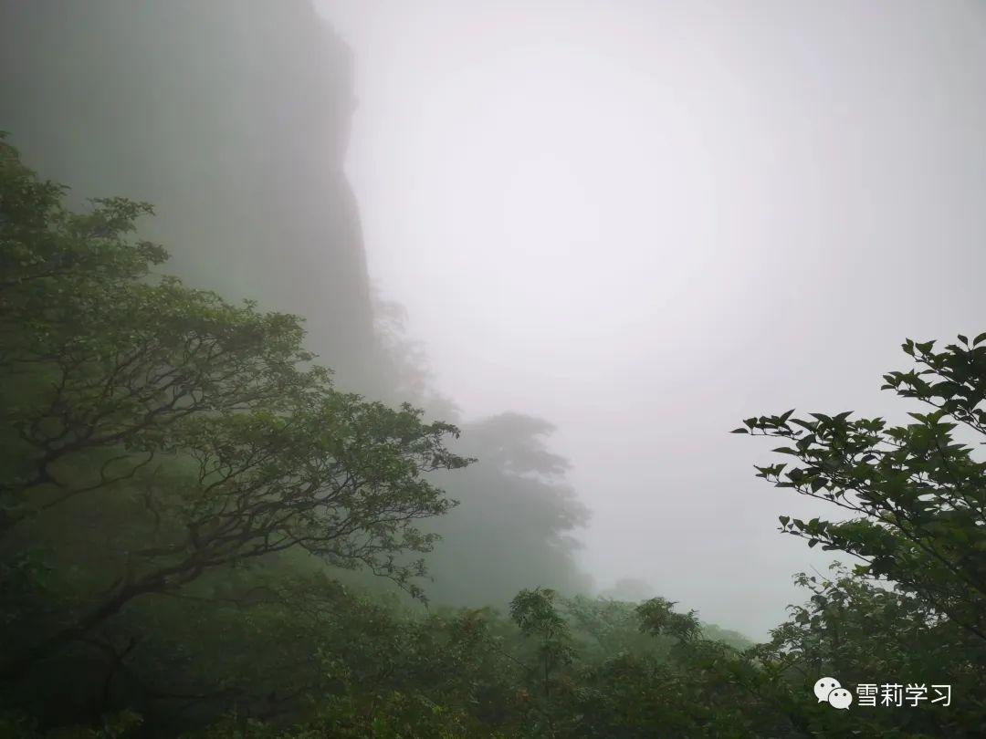 台风天气预报最新更新，探索自然美景的冒险之旅