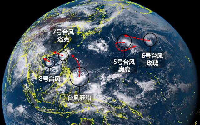 台风第14号最新动态，科普解读与关注指南