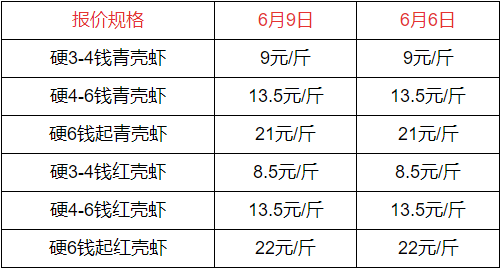 虾价格最新行情，行情动态与友情浪花的小惊喜