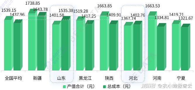 2024年度免费资料汇编：综合数据解读_深度版ZSW957.85