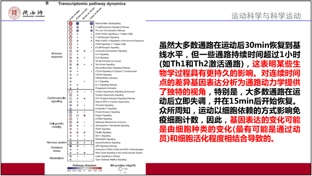 2024香港正版资料大全免费获取，精确解读_机动版CQA395.19