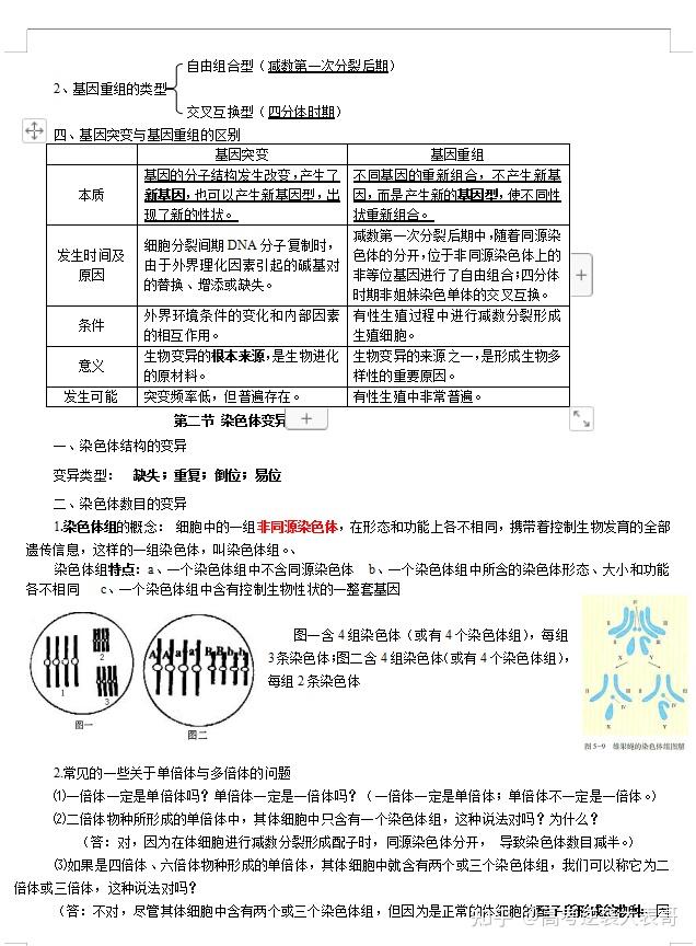 2024新澳特马资料精准版，自评版BSY394.4