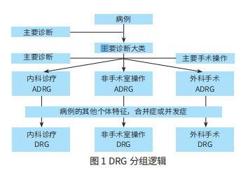 2024版奥马资料大全：全面数据解析枕_AHQ68.448数字升级版