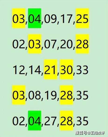 澳门王中王100准确资料与实地数据分析评估_UOD4.35.80在线版