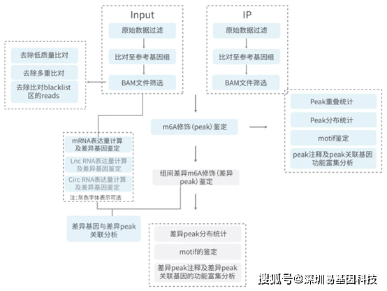 香港大众网官网公开资料,机制评估方案_QVJ35.577加强版