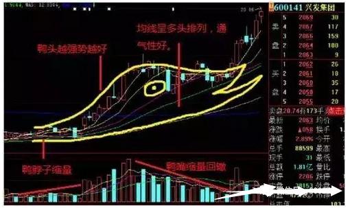 新澳门精准四肖期期中特公开,高效运行支持_CSO54.277原创性版