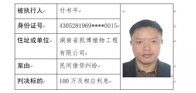 拍拍贷最新老赖名单,拍拍贷最新老赖名单背后的故事，变化、学习与自信的力量