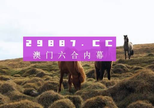 2023澳门一肖一码,灵活执行方案_SRF46.968环保版