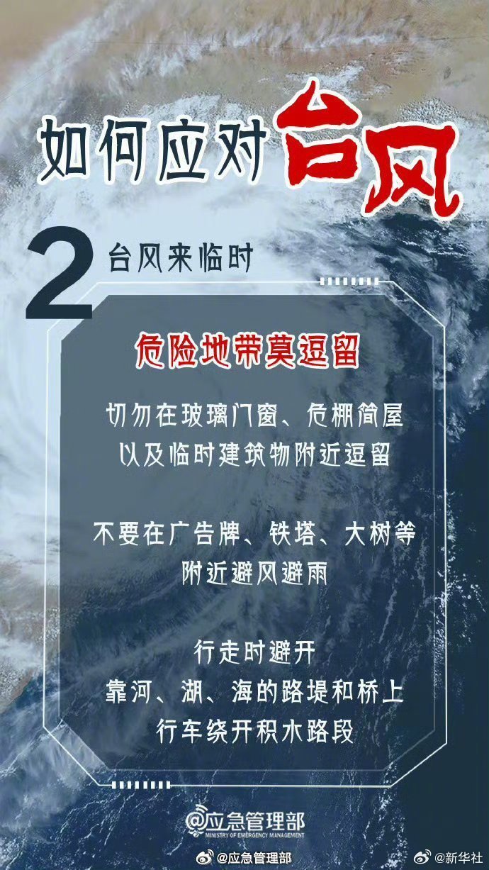 饶平台风最新消息,饶平台风最新消息与温馨的日常故事