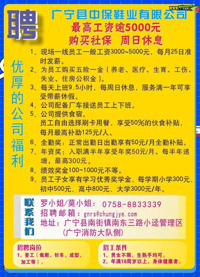 广西宁明最新招聘信息，科技革新引领职场新篇章，开启未来就业之旅