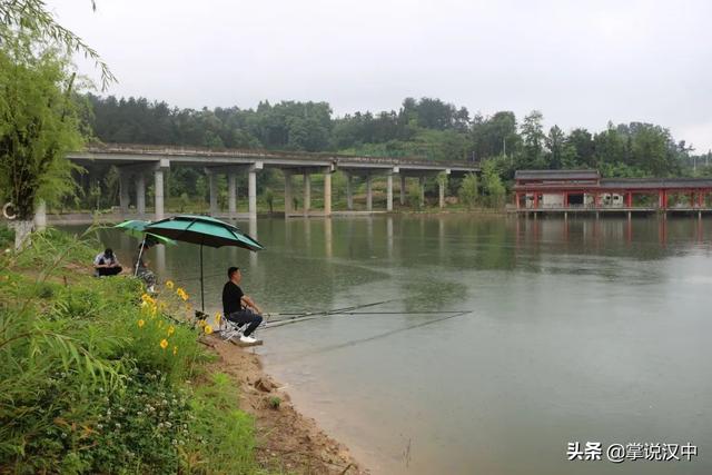 汉中钓鱼坑塘最新动态，深度观点分析