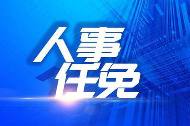 经济网最新人事任免动态解析及调整概览