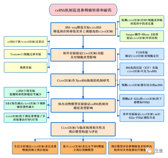 新奥门特免费资料大全193,机制评估方案_XPD53.256安全版