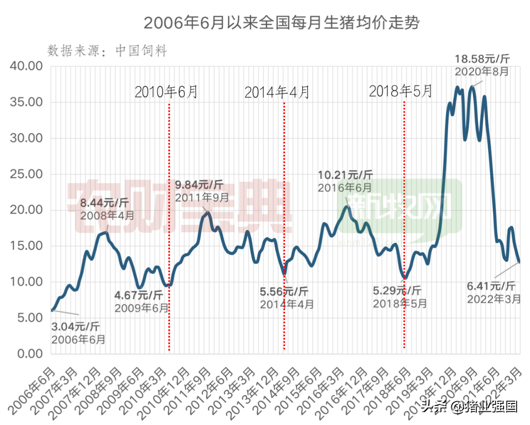 新牧网最新猪价，探索养猪与自然和谐共生的内心平静之旅