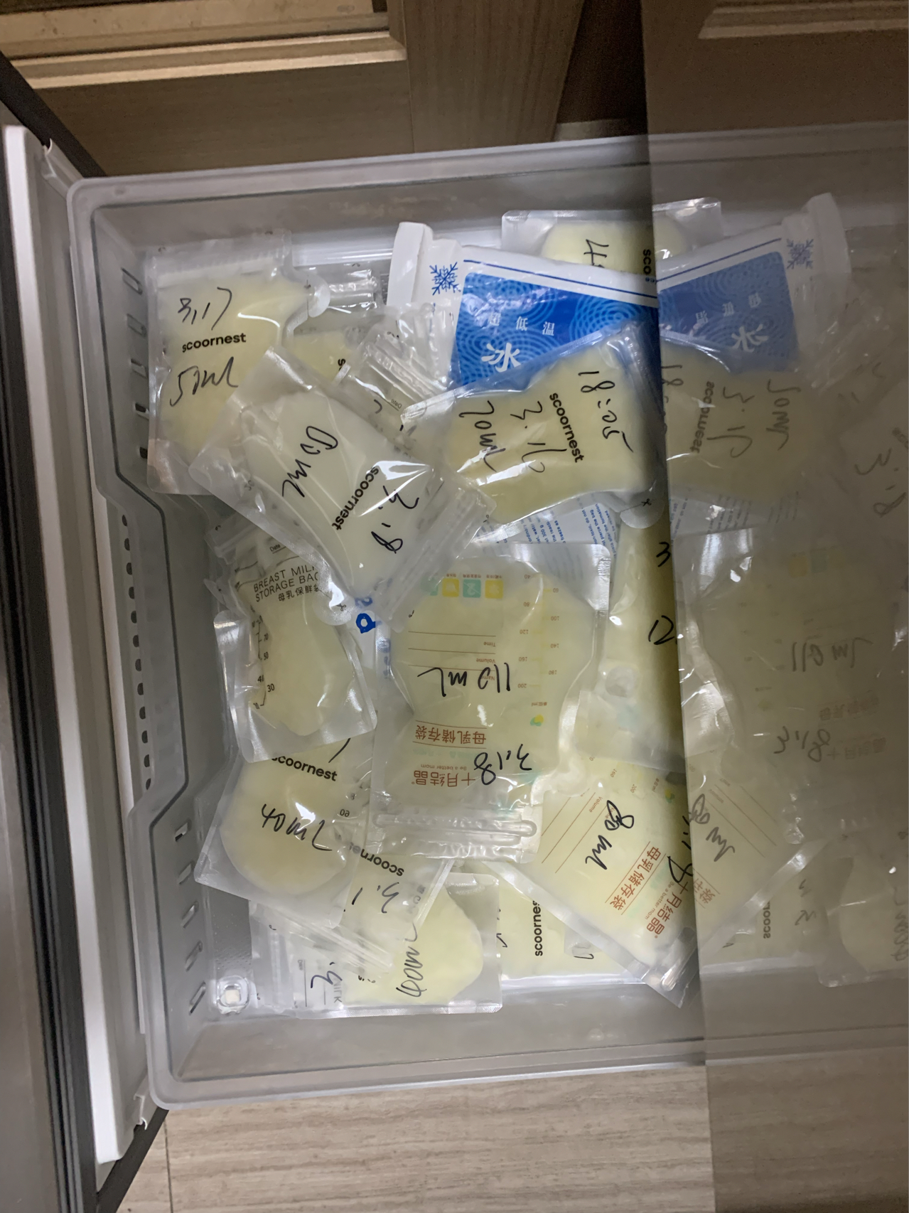 最新母乳片，哺育新时代的里程碑，助力宝宝健康成长之路