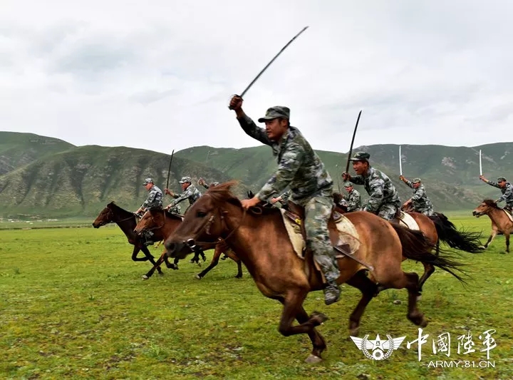 最新在线骑兵区深度解析，背景、重要事件与地位审视