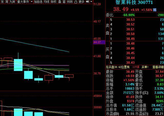 2024澳门特马今晚开奖图纸,高速应对逻辑_ZSU53.360传递版