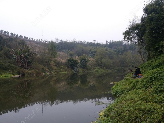 重庆免费钓鱼地点最新,重庆免费钓鱼地点最新论述