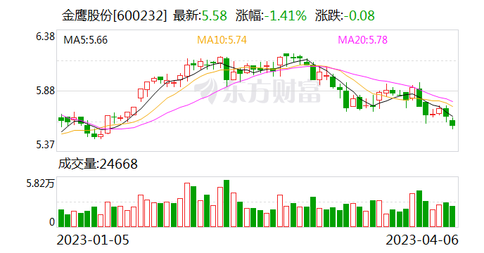 金鹰股份引领行业变革，铸就未来领导力量