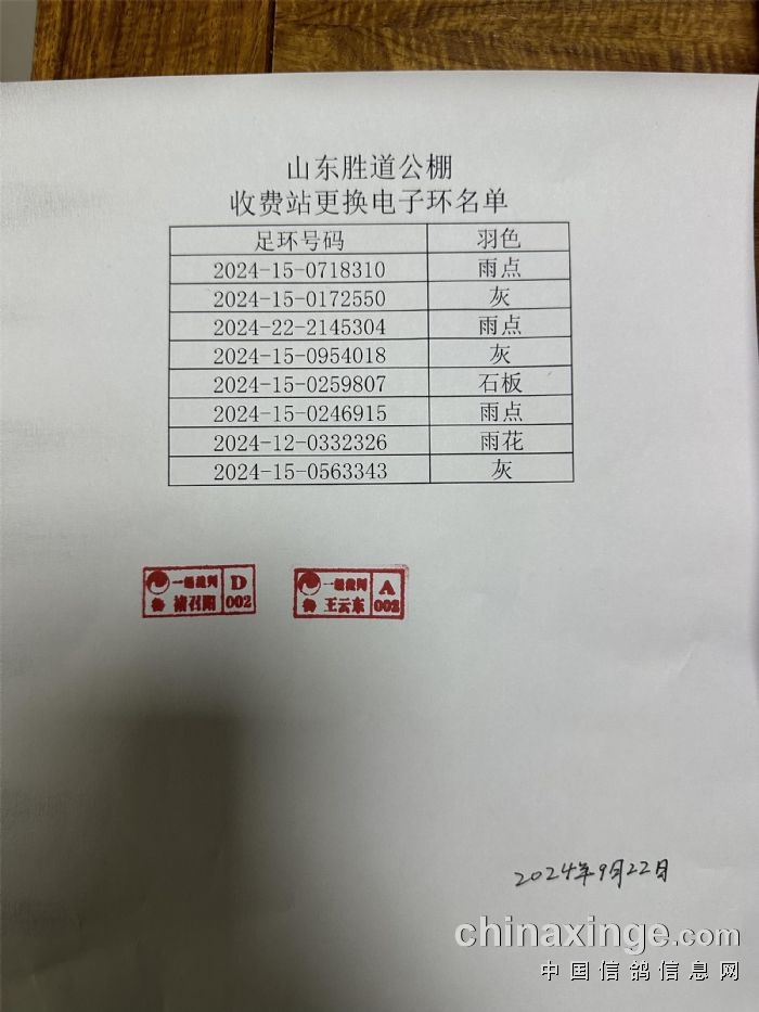 山东赛鸽公棚最新公告发布，小巷深处的特色小店诚邀探索！