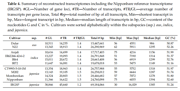 澳门免费资料大全开奖结果,科学分析解释说明_IDF35.893文化传承版