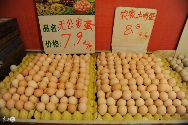最新榆林鸡蛋价格及影响因素深度探讨