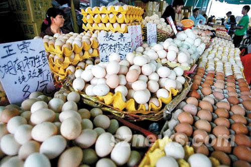 最新榆林鸡蛋价格及影响因素深度探讨