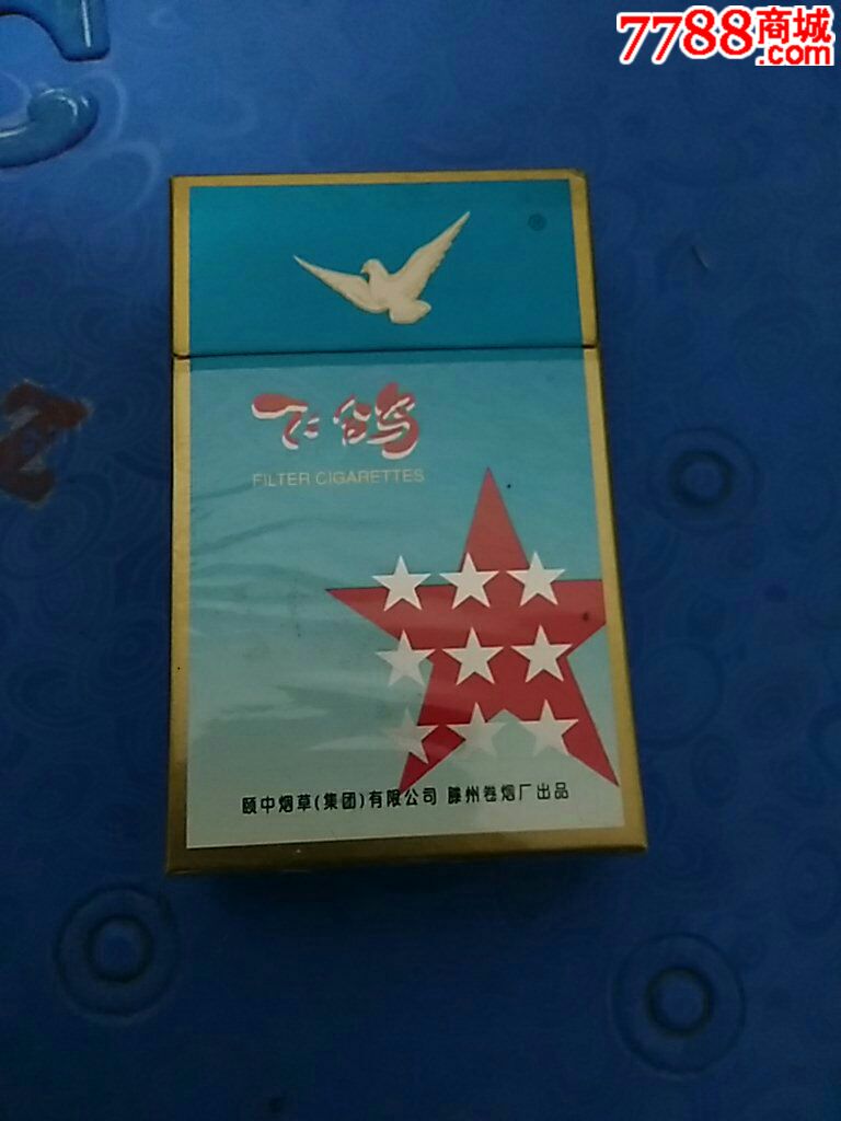 飞鸽最新款，翱翔之路，自信成就感的翅膀