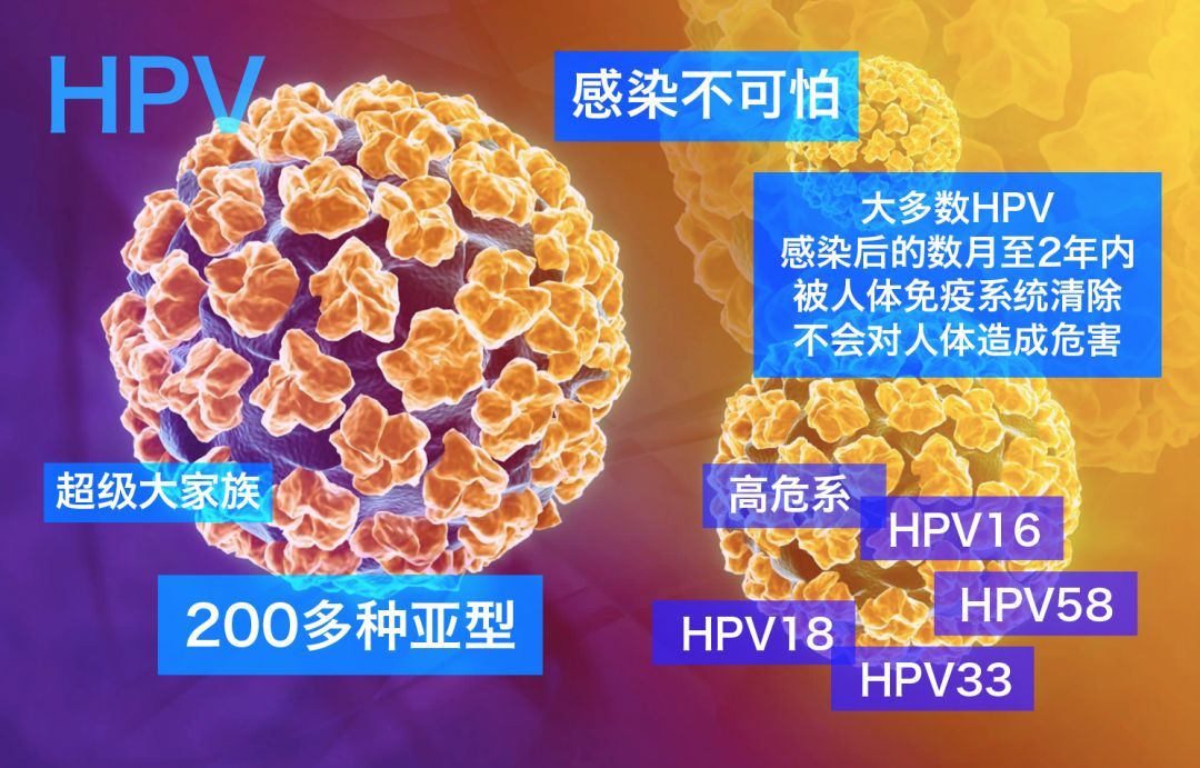 2024年最新最准资料,最新研究解读_HPV77.507奢华版