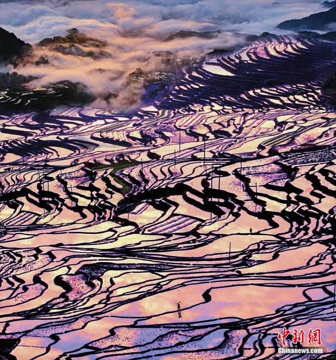 尤溪城市角落的温馨日常最新新闻