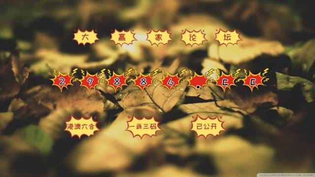 奥门天天彩开正版资料,持续改进策略_HQF77.157世界版