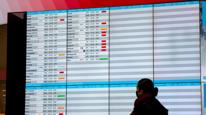 新澳天天开奖资料大全旅游团,稳固计划实施_LWR77.783旅行版