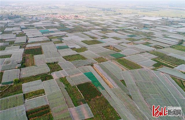 怀来小巷深处的独特风味,隐藏版特色小店惊艳亮相最新新闻