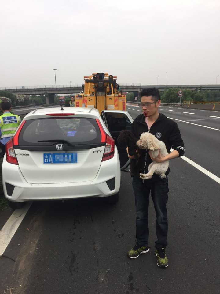 最新狗狗新闻速递，探索精彩狗狗世界的瞬间