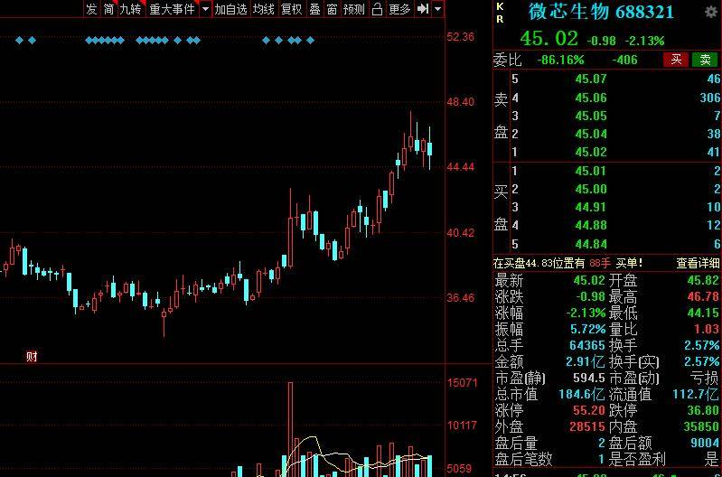 福斯特股票最新动态,股市微动与小生活的温馨共鸣