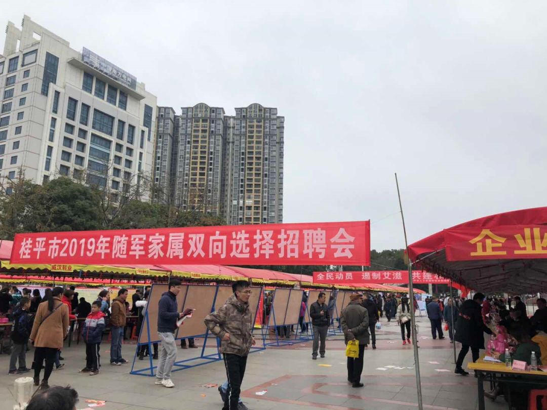 桂平最新招工,工作之旅中的温馨故事启程