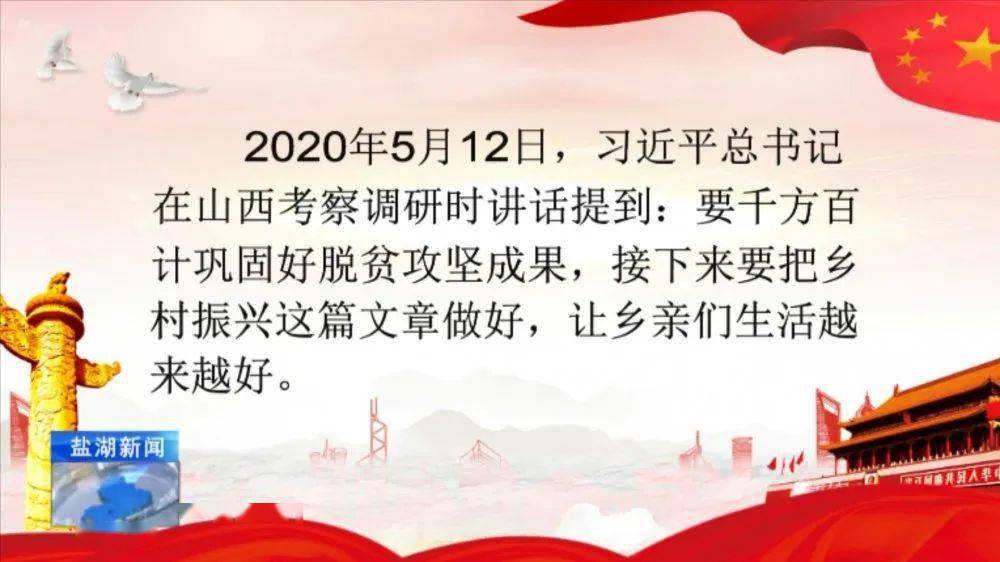 最新习语金句，巷弄深处的独特风味