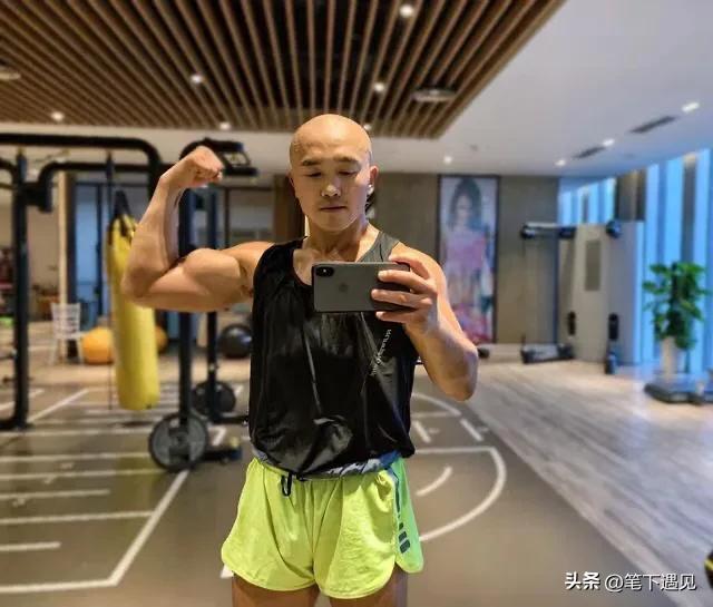 一龙最新动态深度解析及其广泛影响