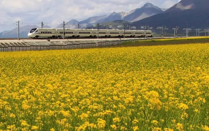 化隆铁路最新动态,温馨旅程新进展揭秘